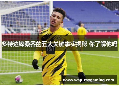 多特边锋桑乔的五大关键事实揭秘 你了解他吗