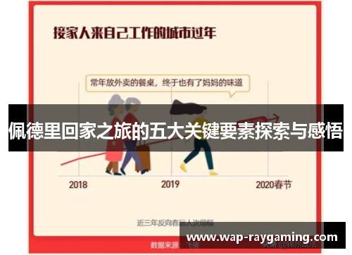佩德里回家之旅的五大关键要素探索与感悟