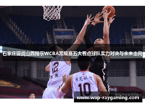 石家庄迎战山西揭示WCBA常规赛五大看点球队实力对决与未来走向