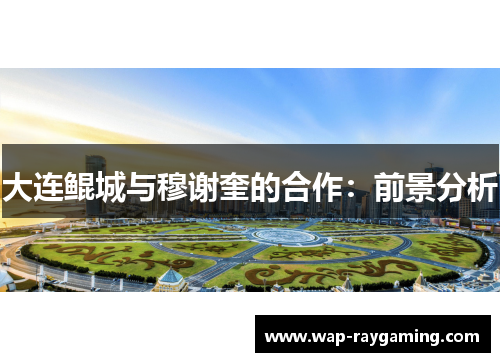 大连鲲城与穆谢奎的合作：前景分析
