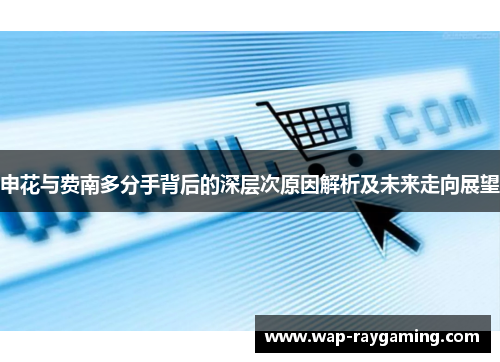 申花与费南多分手背后的深层次原因解析及未来走向展望