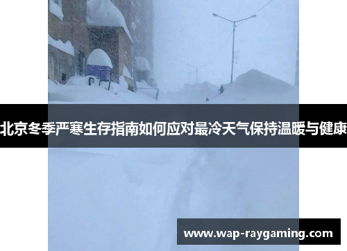 北京冬季严寒生存指南如何应对最冷天气保持温暖与健康