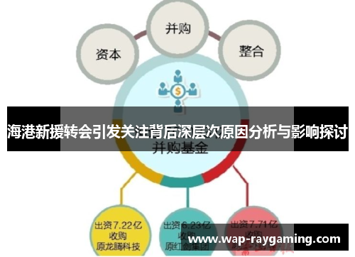 海港新援转会引发关注背后深层次原因分析与影响探讨