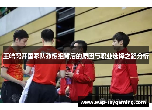 王皓离开国家队教练组背后的原因与职业选择之路分析